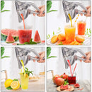 EXPRIFACIL® EXPRIMIDOR DE FRUTAS PREMIUM